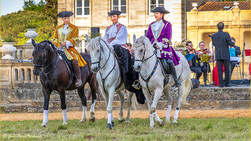Symphonie Equestre-19 Mai 2018-7777.jpg