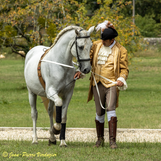 Spectacle_Equestre_du_23_AoÃ»t_2020-7776